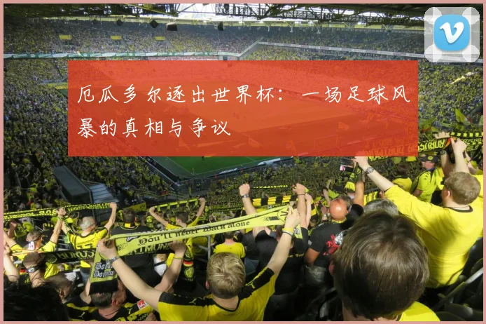 厄瓜多尔逐出世界杯：一场足球风暴的真相与争议