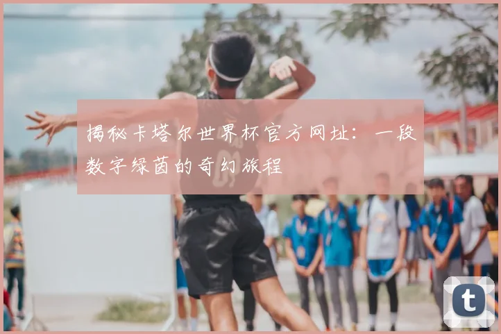 揭秘卡塔尔世界杯官方网址：一段数字绿茵的奇幻旅程