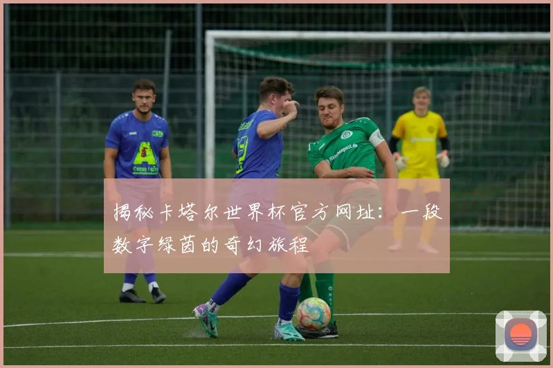 揭秘卡塔尔世界杯官方网址：一段数字绿茵的奇幻旅程
