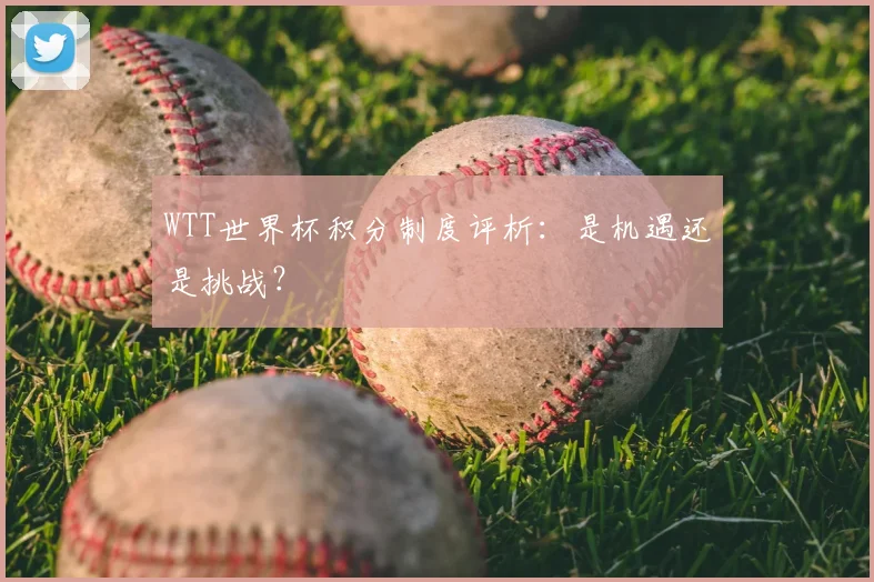 WTT世界杯积分制度评析:是机遇还是挑战?
