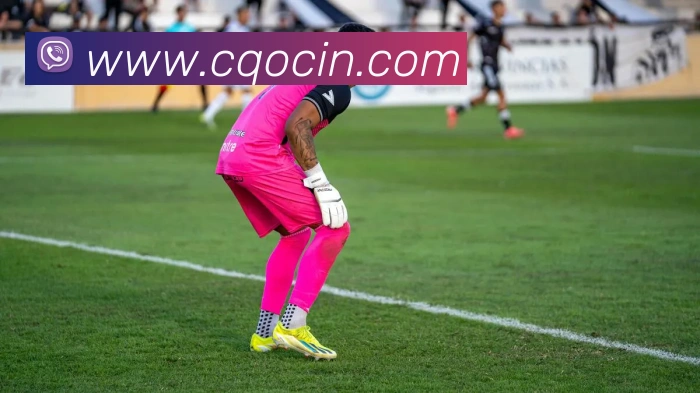 开云手机在线登录官网平台生态图